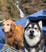 IMG_2080.jpeg