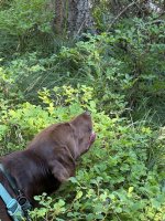 IMG_4265.jpeg