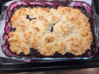 IMG_7124.jpeg IMG_7124.jpeg