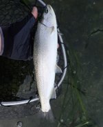 IMG_7605.jpeg IMG_7605.jpeg
