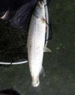 IMG_7606.jpeg IMG_7606.jpeg