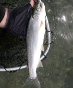 IMG_7607.jpeg IMG_7607.jpeg
