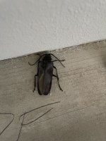 IMG_6146.jpeg IMG_6146.jpeg