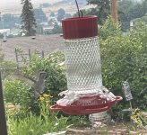 IMG_7797.jpeg