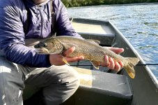 IMG_6366.jpeg IMG_6366.jpeg