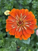 IMG_4276.jpeg