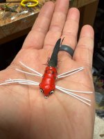 IMG_2779.jpeg IMG_2779.jpeg