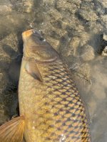 IMG_7802.jpeg
