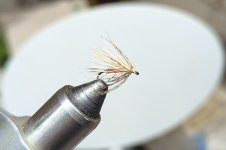 PXL_20260723_231253087.jpg