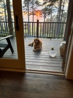 IMG_0339.jpeg