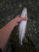 IMG_4748.jpeg