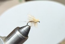 PXL_20260724_184049491.jpg PXL_20260724_184049491.jpg