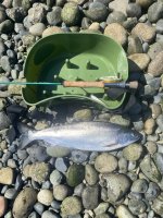 IMG_3739.jpeg