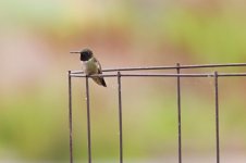 0067-BY-wilds-071426.jpg