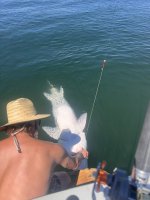 IMG_9090.jpeg