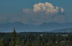 07242026_pyrocumulus_195947.webp