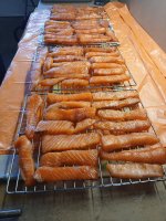 dry brined candied salmon.jpg dry brined candied salmon.jpg