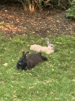 IMG_4492.jpeg
