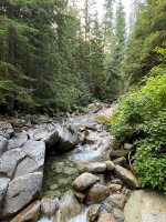 IMG_7149.jpeg