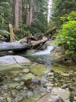 IMG_7150.jpeg