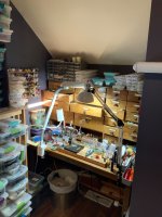 IMG_0488.jpeg