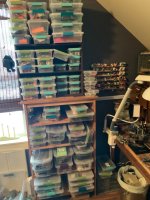 IMG_0487.jpeg