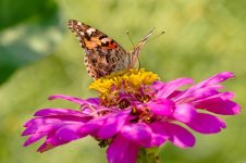 0126-BY-Wilds-072626.jpg