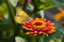 0187-BY-Wilds-072626.jpg