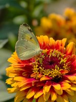 0154-BY-Wilds-072626.jpg