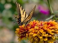0116-BY-Wilds-072626.jpg