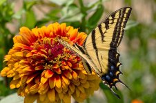 0169-BY-Wilds-072626.jpg
