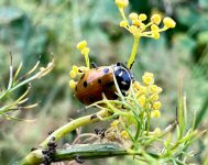 IMG_8402.jpeg