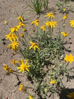 IMG_5178.jpeg IMG_5178.jpeg