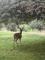 IMG_4490.jpeg