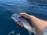 IMG_8864.jpeg
