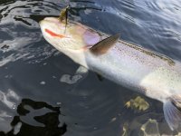IMG_0599.jpeg