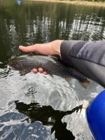IMG_3853.jpeg