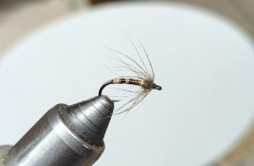 PXL_20260728_192933648.jpg