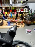 IMG_8712.jpeg