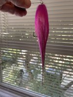 IMG_6167.jpeg