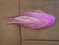 IMG_6169.jpeg