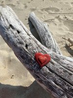Beach Heart.jpg
