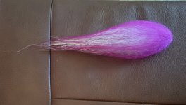IMG_6176.jpeg