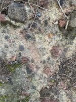 IMG_6175.jpeg