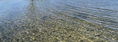 IMG_7866.jpeg