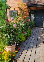 Porchflowers.jpg