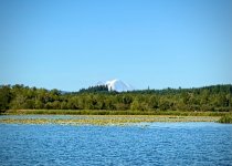 IMG_0390.jpeg