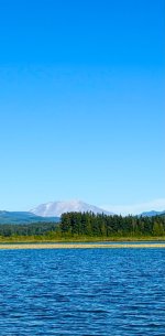 IMG_0388.jpeg