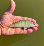 IMG_0382.jpeg