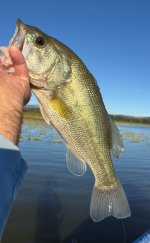 IMG_0396.jpeg